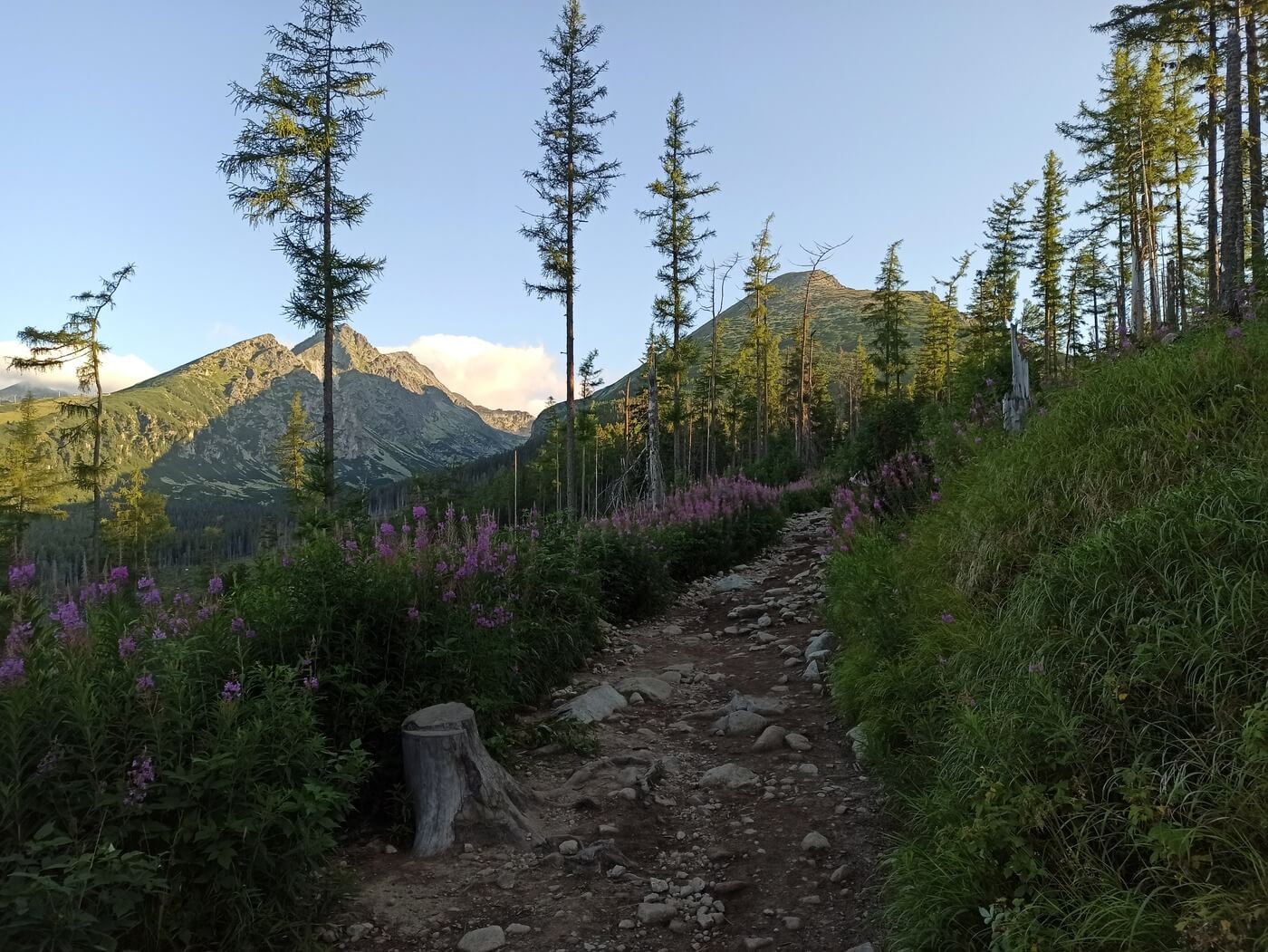 Cestou na Popradské pleso